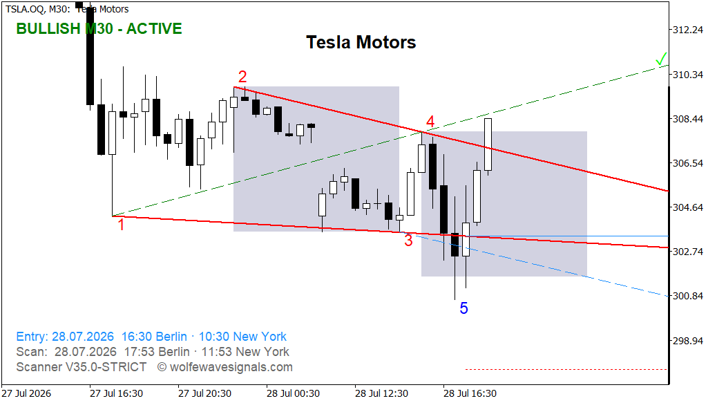 TSLA Ziellinie erreicht